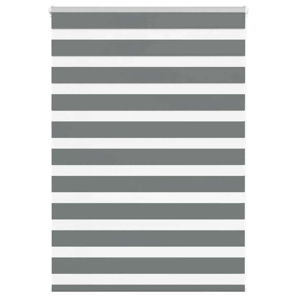 Vidaxl (Dark Grey, 100 X 100 Cm) Zebra Blind Black 105X100 Cm Fabric Width 100.9 Cm Polyester