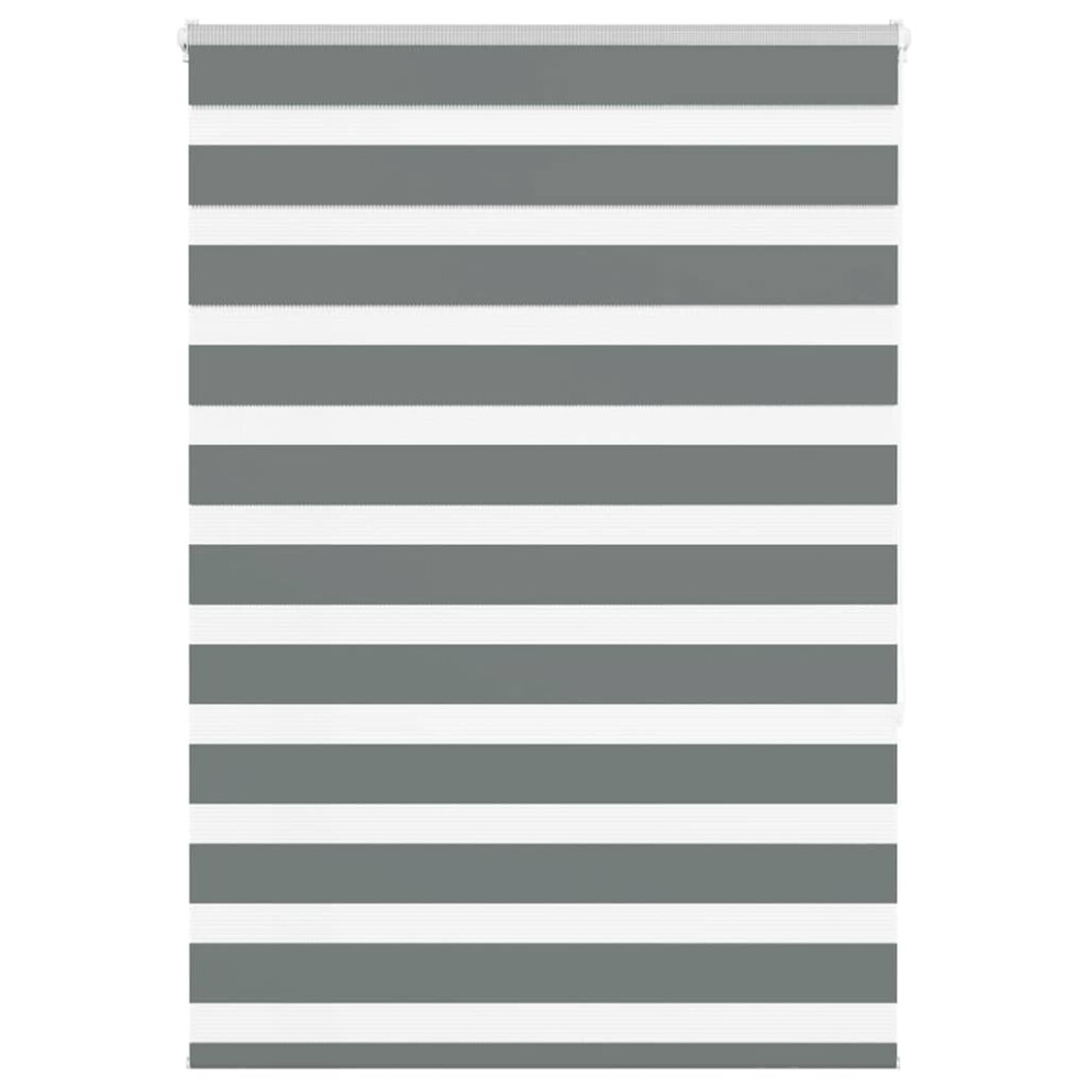 Vidaxl (Dark Grey, 95 X 150 Cm) Zebra Blind Black 105X100 Cm Fabric Width 100.9 Cm Polyester