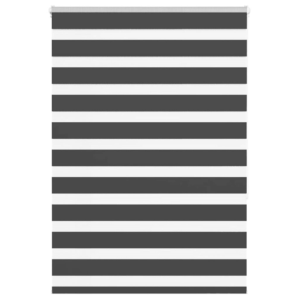 Vidaxl (Black, 95 X 150 Cm) Zebra Blind Black 105X100 Cm Fabric Width 100.9 Cm Polyester