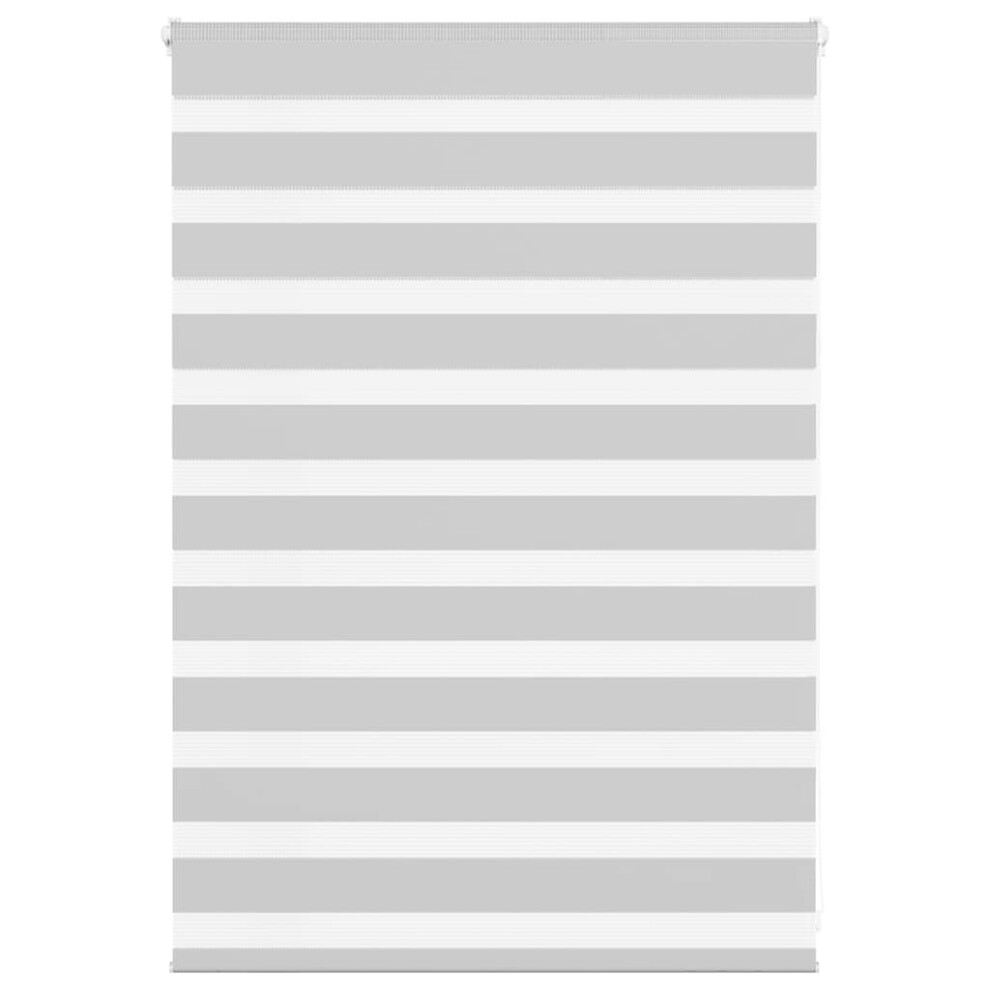 Vidaxl (Light Grey, 100 X 100 Cm) Zebra Blind Black 105X100 Cm Fabric Width 100.9 Cm Polyester