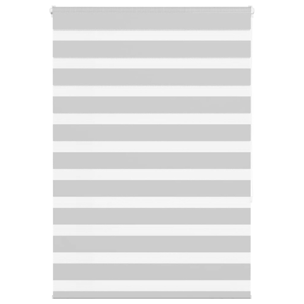 Vidaxl (Light Grey, 100 X 150 Cm) Zebra Blind Black 105X100 Cm Fabric Width 100.9 Cm Polyester
