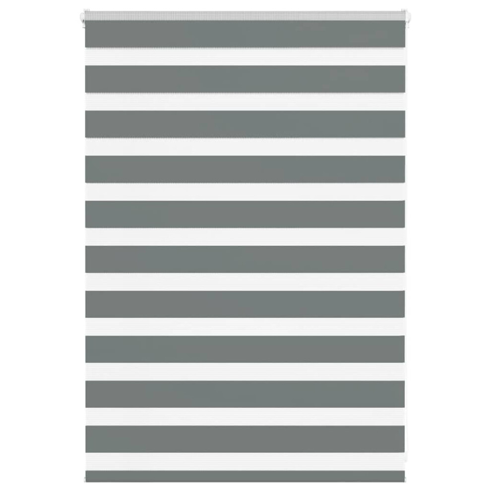Vidaxl (Dark Grey, 95 X 100 Cm) Zebra Blind Black 105X100 Cm Fabric Width 100.9 Cm Polyester