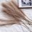Simulation Reeds Bohemian Style Διακοσμητικά Λουλούδια Διακόσμηση γαμήλιου σπιτιού 6