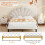 (4ft6 Double, Beige) Double Upholstered Velvet Bed 7