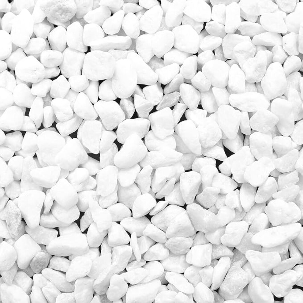 BELLE VOUS White Decorative Garden Stones (3.6kg Bag) - Natural Mixed River Gravel - Small Pebbles for Plant Pots, Vase Filler, Landscaping, Aquariums