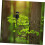 Jagdstand Trail Mount Halterung Spinning Tree Stand Outdoor 5