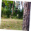 Jagdstand Trail Mount Halterung Spinning Tree Stand Outdoor 7