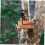 Jagdstand Trail Mount Halterung Spinning Tree Stand Outdoor 6