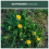 Concentrated Glyphosate 360g/L Weedkiller 1L makes up to 50 L Rootblast 1
