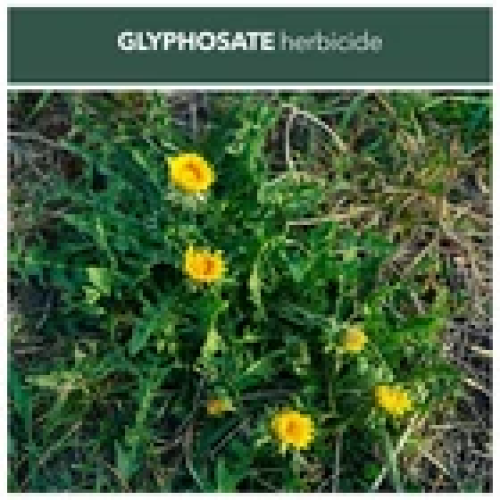 Concentrated Glyphosate 360g/L Weedkiller 1L makes up to 50 L Rootblast