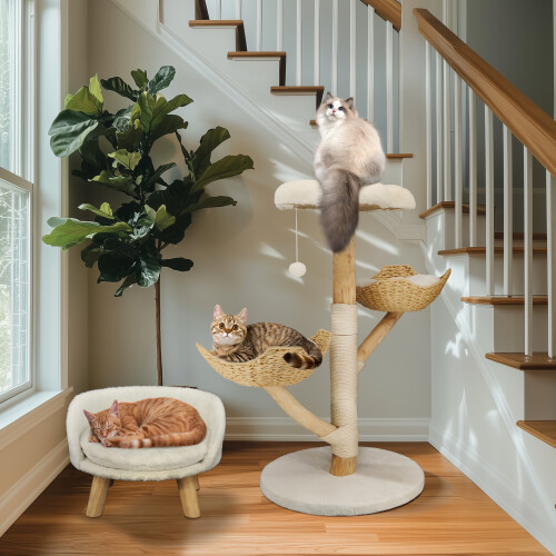 Bingopaw Cat Climbing Tree Tower for Multiple Cats with Cushion Sisal Scratching Post 1