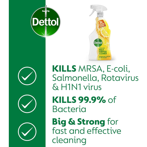 Dettol Dettol Antibacterial Multipurpose Cleaner Multipack 2