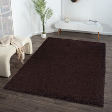 (120 x 170 cm) Brown Shaggy Rug - Ultra Soft Thick Pile Carpet - Fluffy Living Room, Bedroom & Hallway Rug - 7 Sizes Available - Non-Shedding, Modern Style