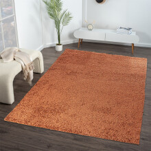 (120 x 170 cm) Terracotta Shaggy Rug - Soft Thick Pile Carpet - Fluffy Living Room, Bedroom & Hallway Rug - Non-Shedding - 7 Sizes - Warm Earthy Modern Style