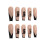 Artificial nails Long nails for sticking on dragon 1