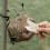 Mount Hooks Pole Hooks Camping Light Hooks Pole Attachment Hanger for Garage Patio 4