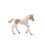 Schleich Schleich Paint Horse Foal 2024 4