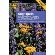 Great Basin Wildflowers