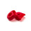 Race Face Crank Crank Boot Protector Red 1