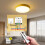 (2 module 1 remote) 433Mhz Wireless Dimmer Light Switch Remote Controls AC 110V 220V Adjustable Brightness Controller for 5