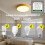 (2 module 1 remote) 433Mhz Wireless Dimmer Light Switch Remote Controls AC 110V 220V Adjustable Brightness Controller for 6