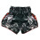 (X-Large) Twins Kabuki Muay thai Shorts 3