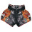 (Large ) Twins Barong Muay thai Shorts 3