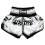 (X-Large) Twins COMIC Muay thai Shorts 1