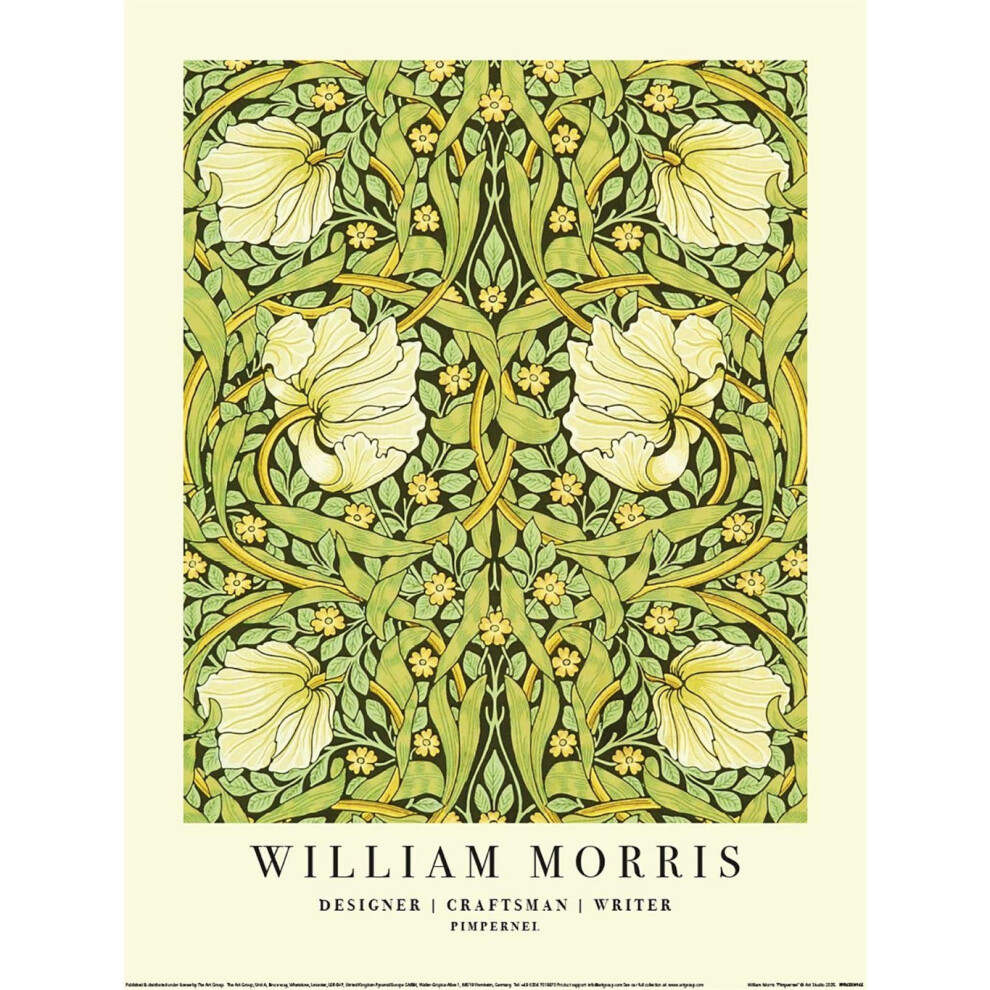 William Morris Green (50Cm X 40Cm, ) Pimpernel Print