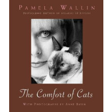 The Comfort of Cats