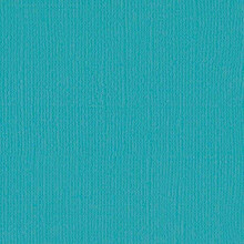 Bazzill 25 Blatt Mono Peacock 12 x 12