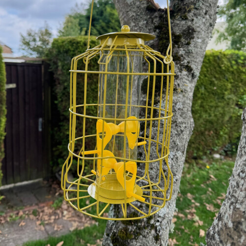 Selections Squirrel Proof Hanging Bird Seed Feeder 2