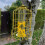 Selections Squirrel Proof Hanging Bird Seed Feeder (Set of 2) 4