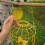 Selections Squirrel Proof Hanging Bird Seed Feeder (Set of 2) 5