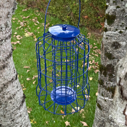 Selections Squirrel Proof Hanging Suet Fatball Bird Feeder 1