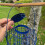 Selections Squirrel Proof Hanging Suet Fatball Bird Feeder 4
