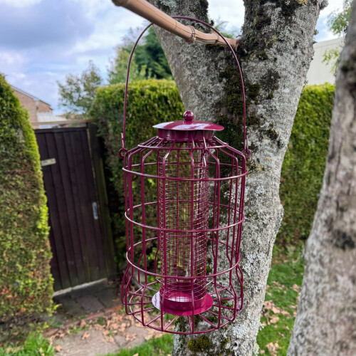 Selections Squirrel Proof Hanging Bird Nut Feeder 2