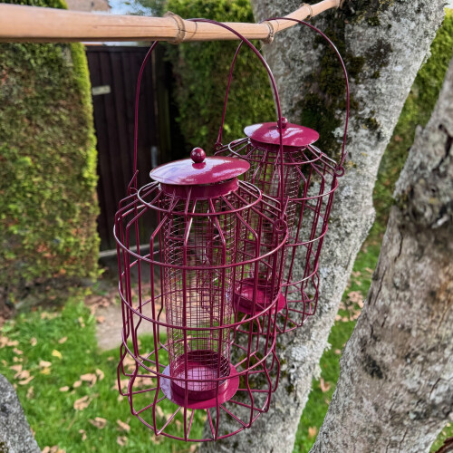 Selections Squirrel Proof Hanging Bird Nut Feeder (Set of 2) 1