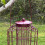 Selections Squirrel Proof Hanging Bird Nut Feeder (Set of 2) 5