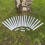 Selections Lawn Edging Log Roll Stakes (Pack of 20) 2