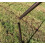 Selections Spare Metal Replacement Pole for Bird Feeding Stations (Set of 2) 4