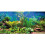 AWERT 30x18 ??tse? F??t? ???d?e??? ?d?????? F?t?? ??????? F??t? ???d?e??? se ???t? ??ta??? & ?????? 2
