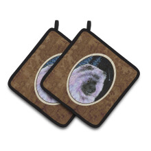 Caroline's Treasures SS8412PTHD Starry Night Keeshond -patalaput (1 pari) 19,5 cm x 19,5 cm moniv rinen