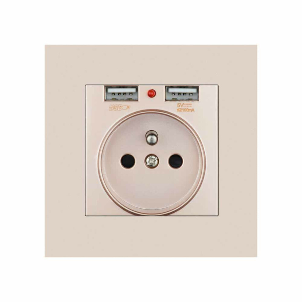 (Gold Fr) Eu Power Socket With Dual Usb Port 16A 250V Pc Panel 86Mm X 86Mm 6112212097427
