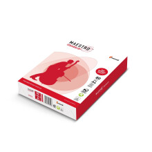 Paper copier office Maestro Standard Plus class B 94918A80 (A4; 80g/m2; 500 sheets; paper white, matte)