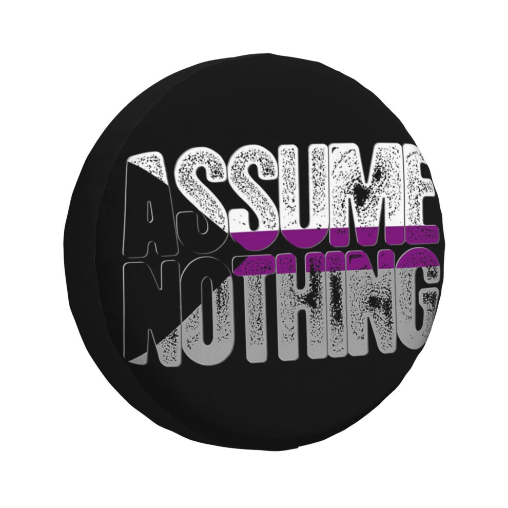 (Assume Nothing Demisexual Pride_1619) Spare Tire Cover For Rv Trailer, Waterproof Wheel Covers Protectors Camper Fit For Jeep Wrangler Rv Suv Van Tru 6931076066017