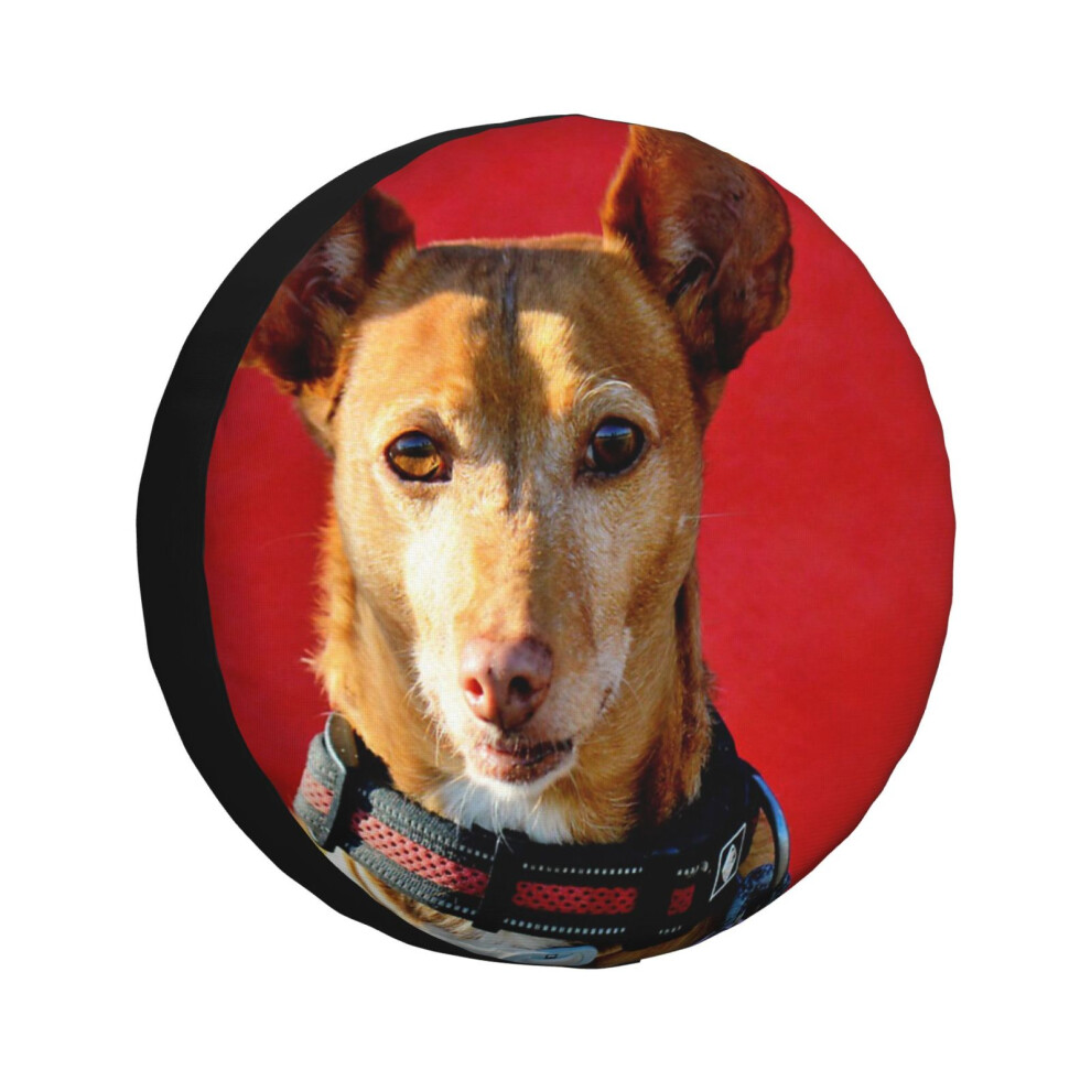 ( The Podenco_1250) Spare Tire Cover For Rv Trailer, Waterproof Wheel Covers Protectors Camper Fit For Jeep Wrangler Rv Suv Van Truck Travel Vehi Peach 6931076127305
