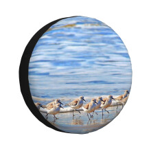 (We're Following The Leader... Sandpipers In Goleta Beach California_5105) Spare Tire Cover for RV Trailer, Waterproof Wheel Covers Protectors Camper Fit for Jeep Wrangler Rv SUV Van Truck Travel Vehicle / 14 15 16 17 Inch