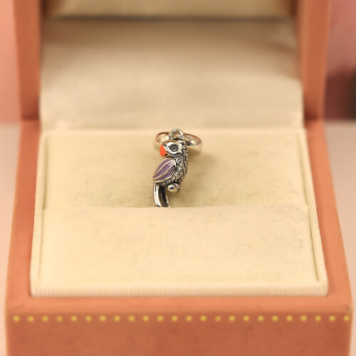 S925 Silver parrot string and pendant accessory  Pandora Style 2