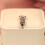S925 Silver parrot string and pendant accessory  Pandora Style 5